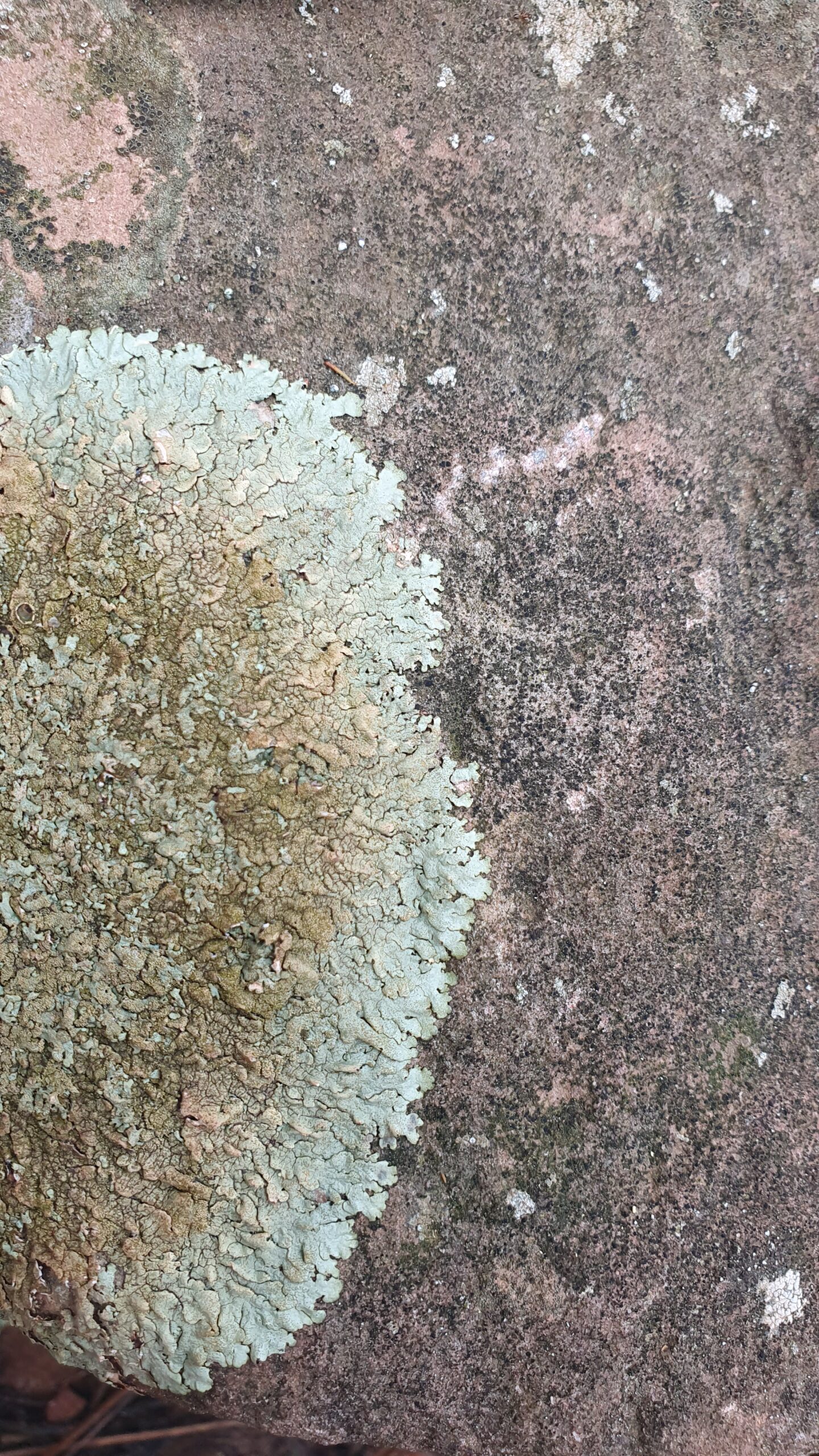 Angebote 20250413 102953