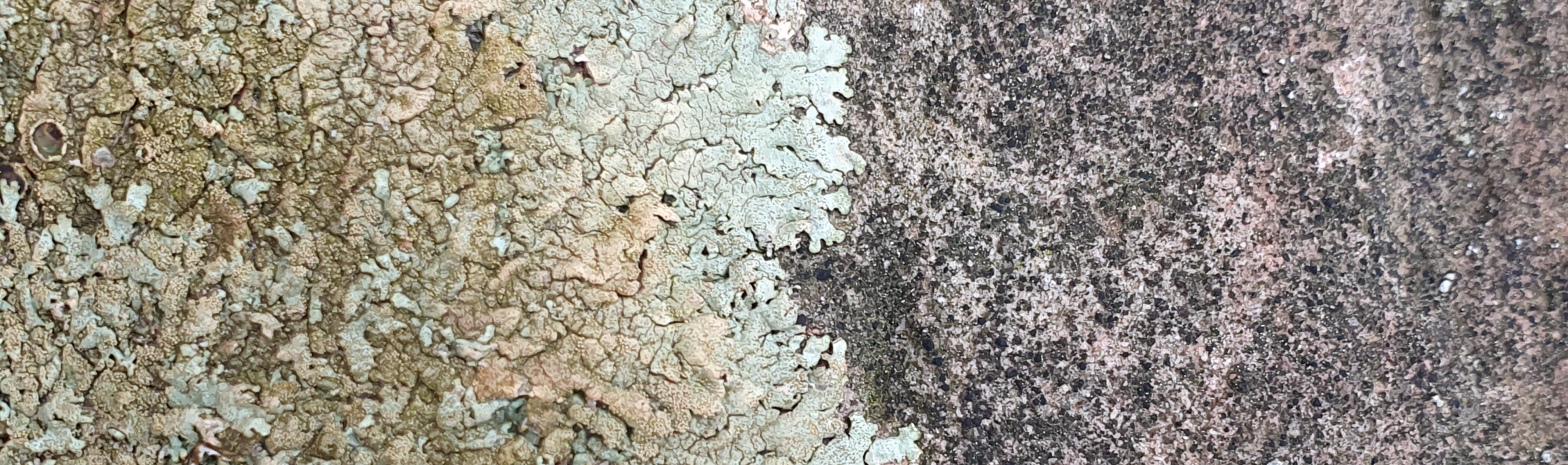 20250413 102953 klgleich